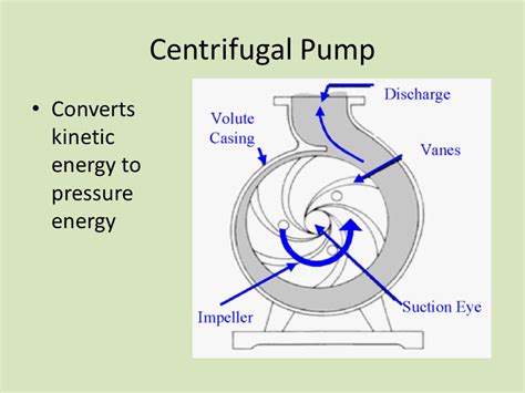 centrifugal pump kinetic energy|centrifugal pump energy transfer.